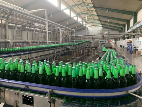 一表集成、自動計算 上海17稅費種綜合申報賦能企業智慧辦稅